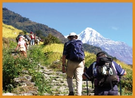 Trekking Tours