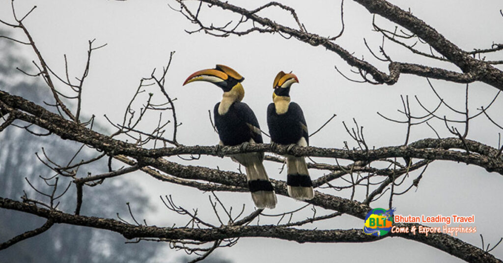 Bird Watching Tour | Other Tours